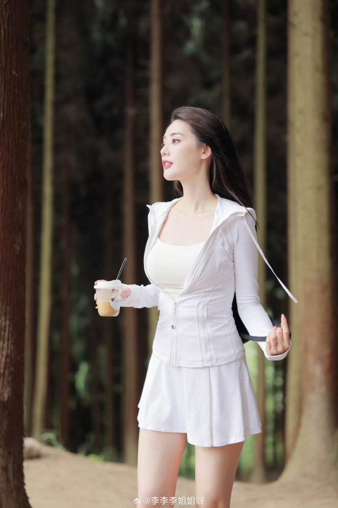 绿皮书